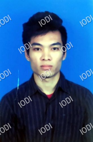 User Photo