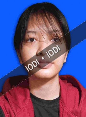 Foto anggota Dini Nurul Fatimah