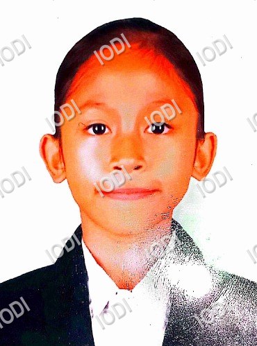 Foto anggota Viola Nailal Shafitri