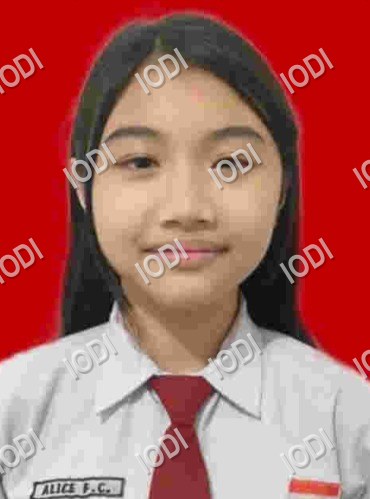 Foto anggota Alice Feibriyana Chandra