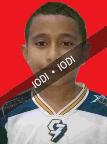 Foto anggota Darius Azaria Laisina