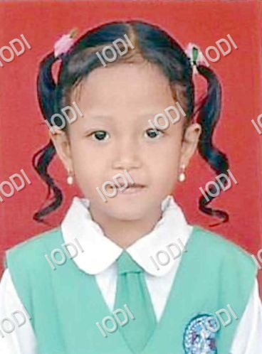 Foto anggota Ni Nyoman Bintang Kinanti Putri